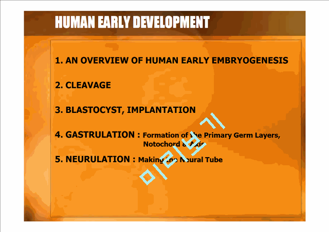 DEVELOPMENTAL BIOLOGY   (2 )